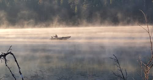 14668059811562031787