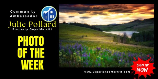 498938667_1238470258280318_1123302103030797686_n