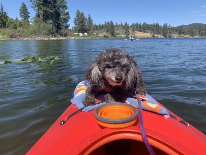 FEE373AD-5914-4006-8D4E-E56CD08AB5DC - Tammy Thormoset