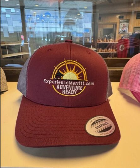 Screenshot 2025-08-16 103559