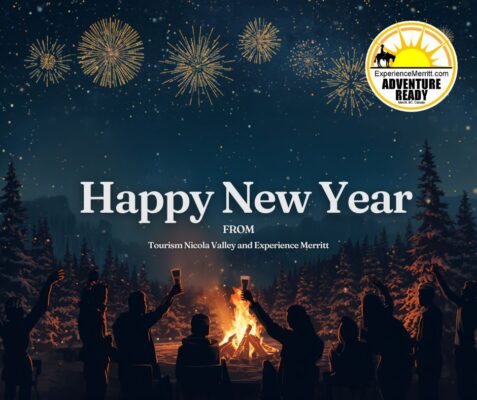 Festive New Year Celebration with Bonfire and Fireworks (1)