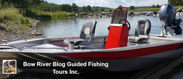 Bow River Fishing Blog