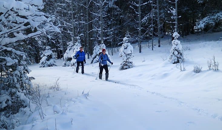 Cross Country Skiiers - Kane Valley, BC, Canada