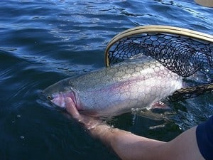 world-class-trout-fishing