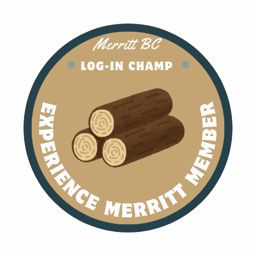 Log In Champion Award