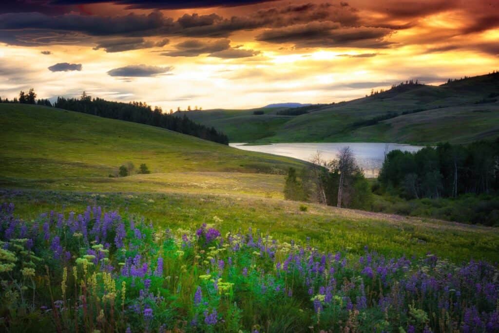 Rural properties for sale in Merritt BC with Julie Pollard of Property Guys in the Nicola Valley.