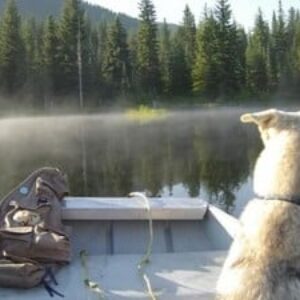 Profile photo of Coquihalla Lakes Lodge