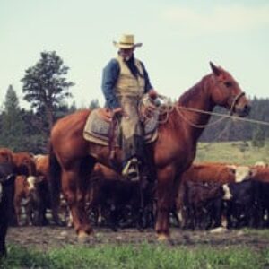 Profile photo of Douglas Lake Ranch