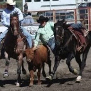 Profile photo of Nicola Valley Rodeo Association